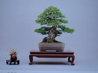 孫翔乃介運動会 県風展打ち合わせ KJ20周年実行委員会_b0092684_14583975.jpg