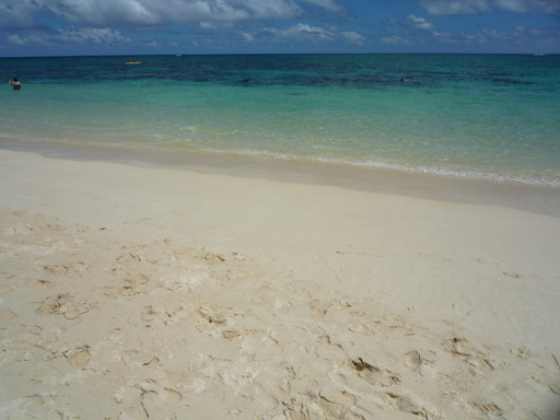 e0190984_2222406.jpg