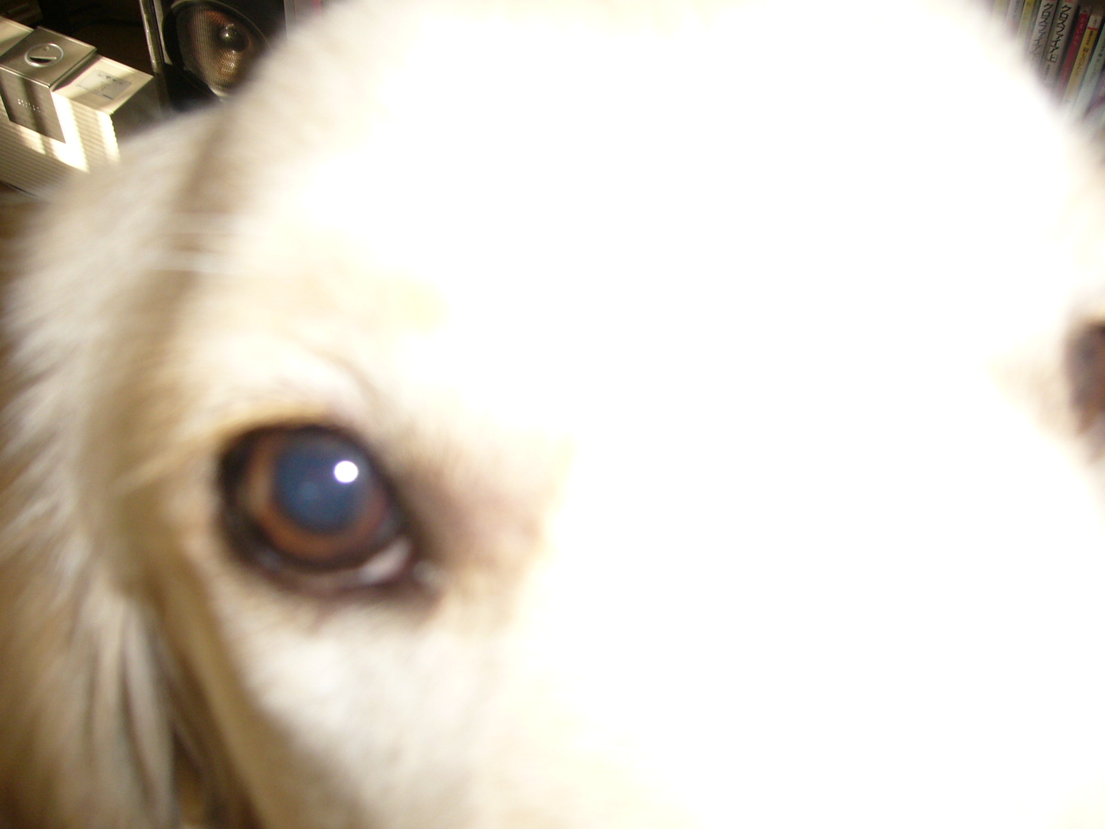 b0206300_11554911.jpg
