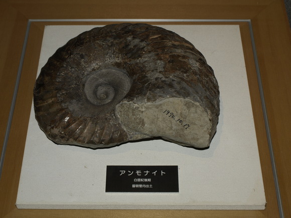 f0020302_224157.jpg