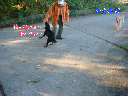 友達犬がたくさんいるって幸せなこと_f0064906_17534826.jpg