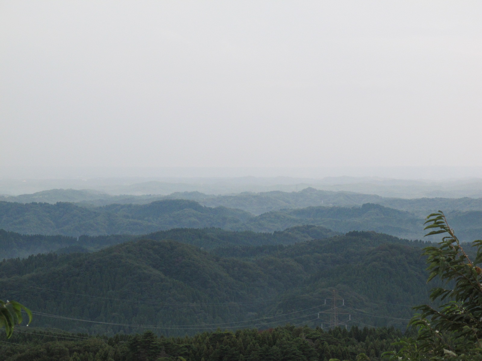 d0182409_0595822.jpg