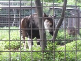 e0000910_1527564.jpg