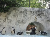 e0000910_15381120.jpg