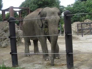 e0000910_156893.jpg