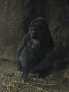 e0000910_166147.jpg