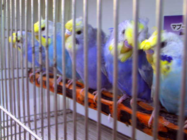 c0194711_2301733.jpg