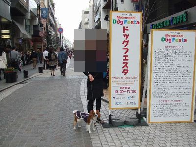 f0214121_205131.jpg