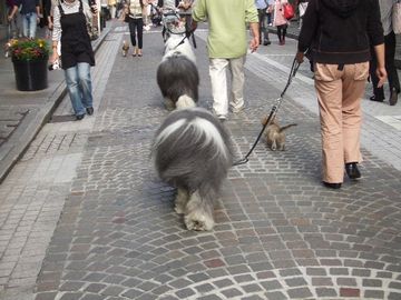 f0214121_20591249.jpg
