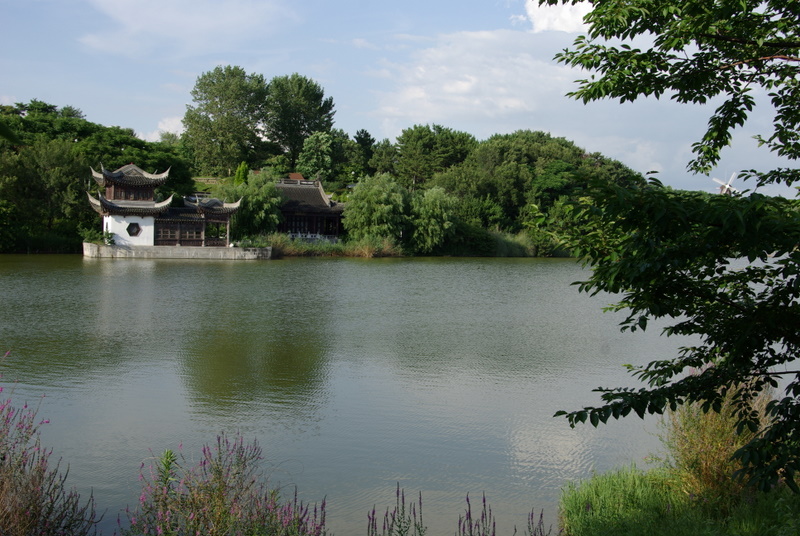 4 2 花博記念公園 中国庭園 Million Lion 4 2 花博記念公園 中国庭園 Million Lion
