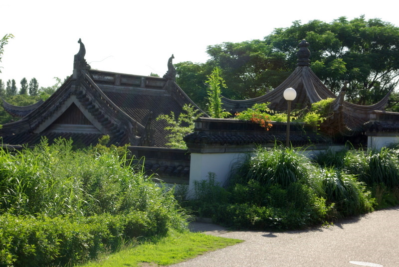 4 2 花博記念公園 中国庭園 Million Lion 4 2 花博記念公園 中国庭園 Million Lion