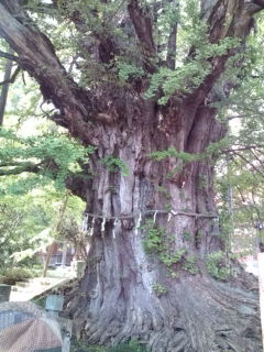 氷見・朝日山公園_f0009028_22422657.jpg