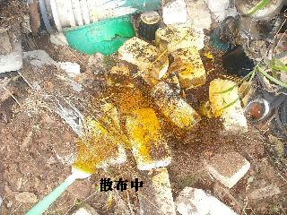f0031037_2226547.jpg