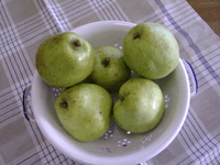 f0224039_16475820.gif