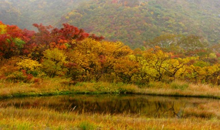 栗駒山の紅葉は今一番ですよ～～♪♪_c0204740_20471881.jpg