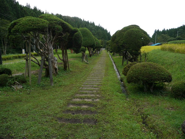 b0190242_1365240.jpg