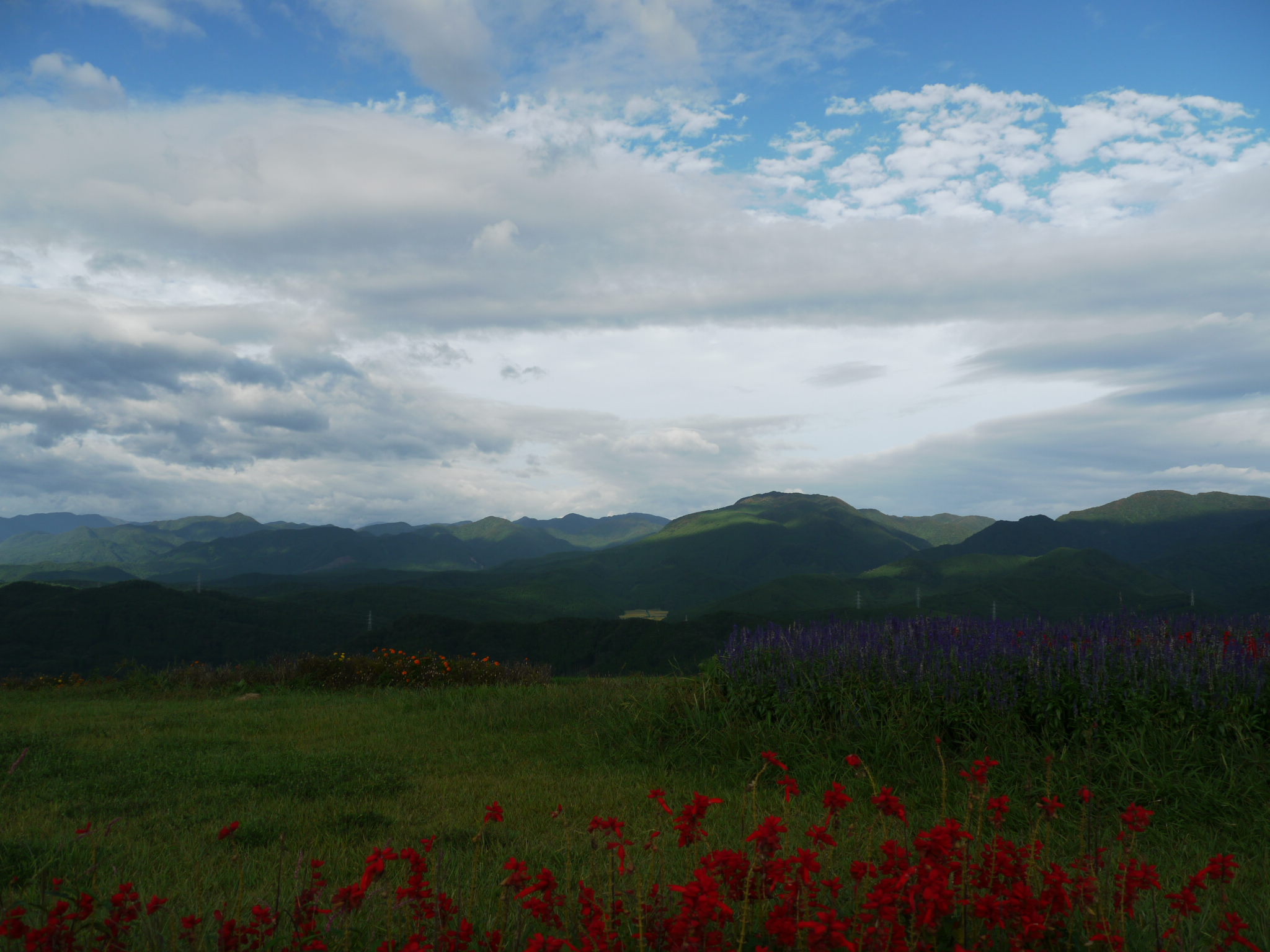 b0190242_26253.jpg