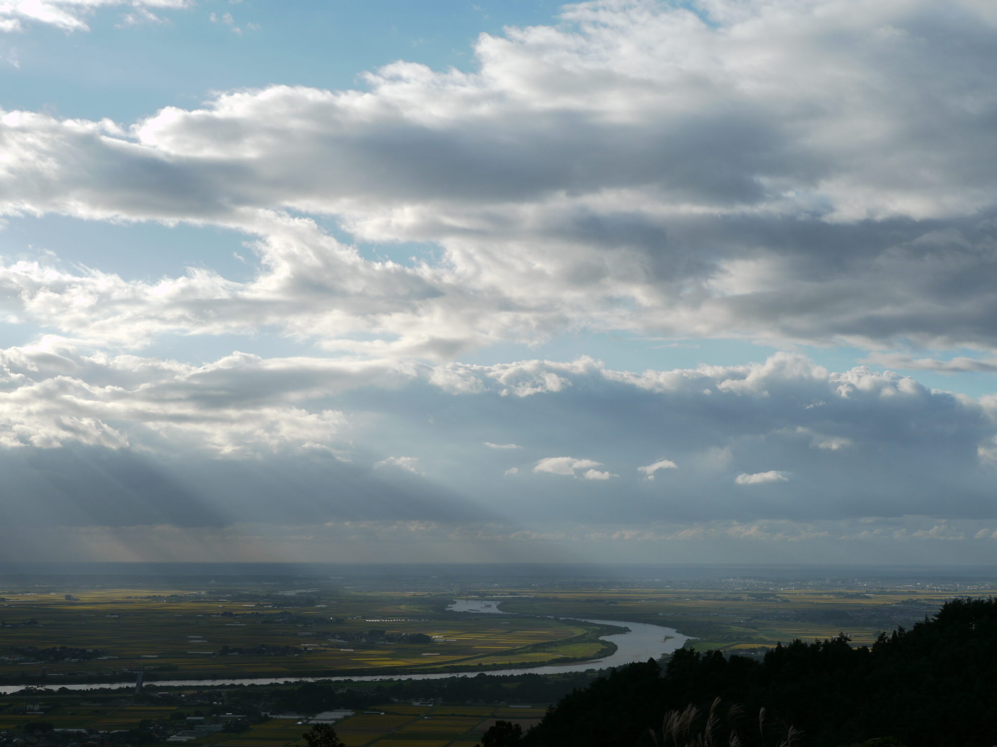 b0190242_26315.jpg
