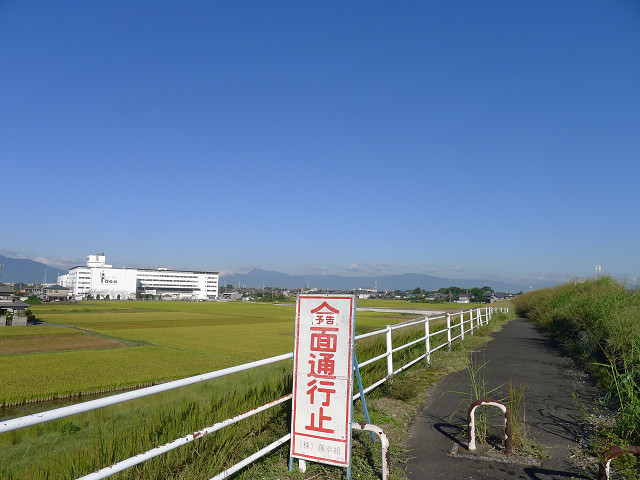 b0088444_21472911.jpg