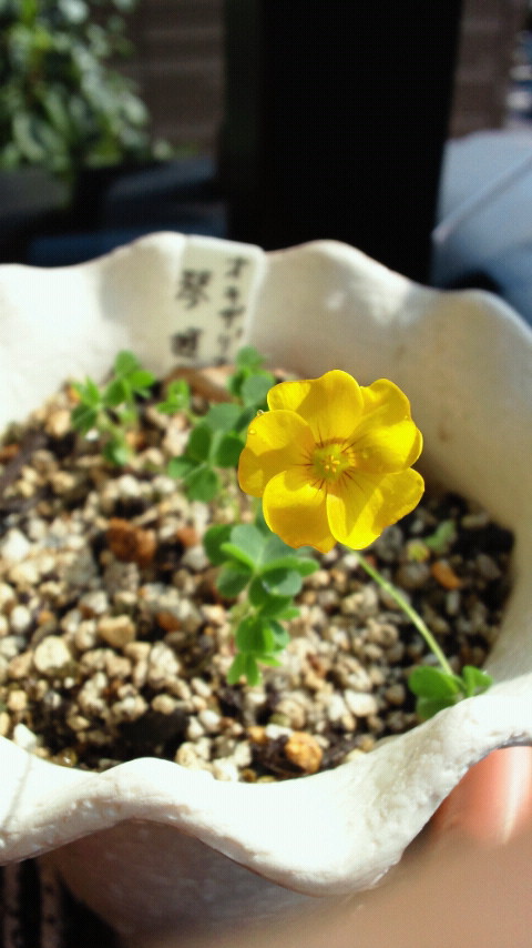 f0236744_23463128.jpg