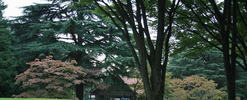 e0082045_15334968.jpg
