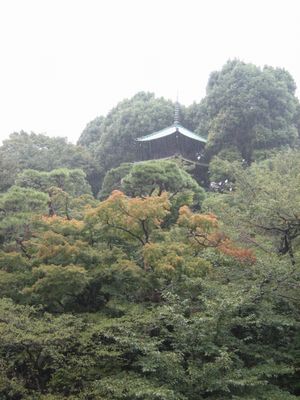 e0082045_15361691.jpg