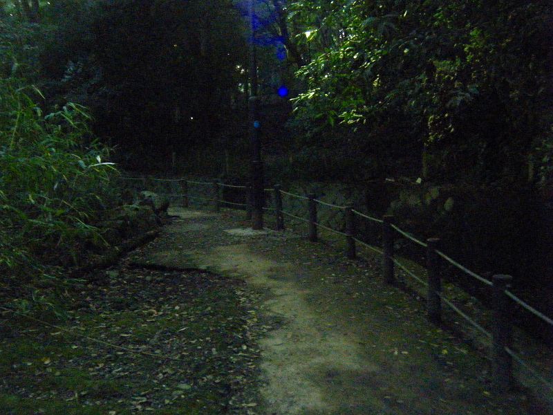 d0151746_18493850.jpg