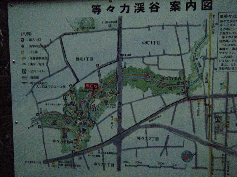 d0151746_1850183.jpg