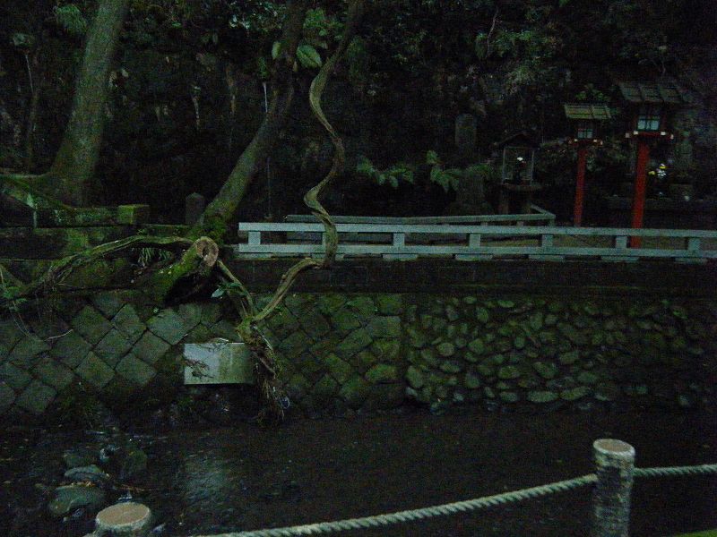 d0151746_1851101.jpg