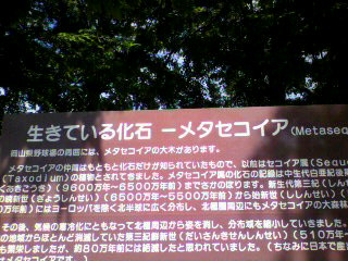 お散歩♪_d0004447_14372076.jpg