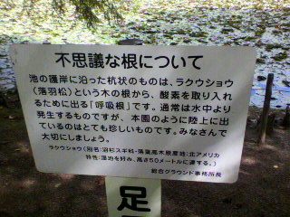 お散歩♪_d0004447_14372095.jpg