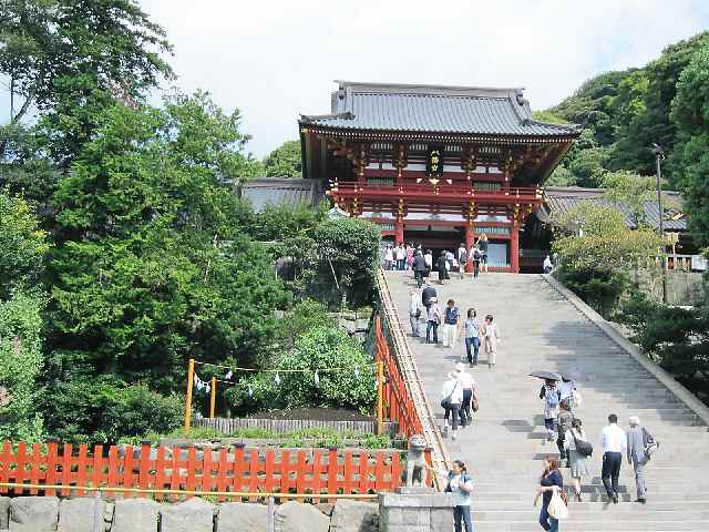【鶴岡八幡宮の大銀杏のその後】_b0009849_2228744.jpg