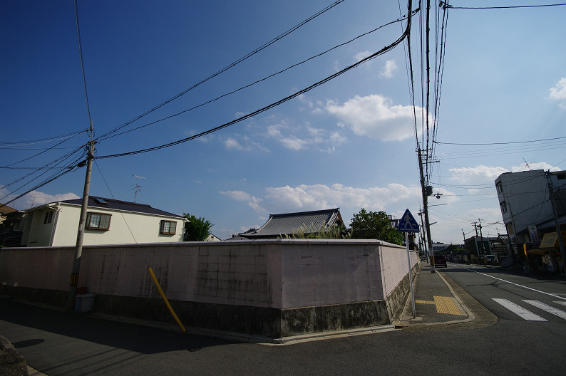 f0152550_22302526.jpg