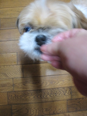 c0043751_1833118.jpg