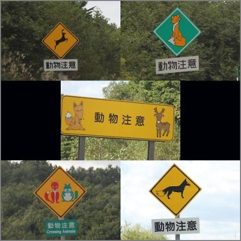 f0236653_5122953.jpg