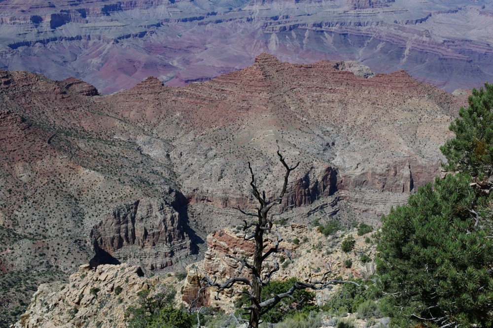 Nature in America vol.8 Grand Canyon Desert View Point with Leica M9_c0219256_7223566.jpg