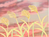 a0063364_22453241.gif