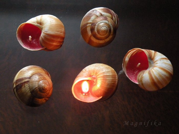 蝋燭/candles-6　エスカルゴの殻/Escargot shell candles_e0140365_12524265.jpg