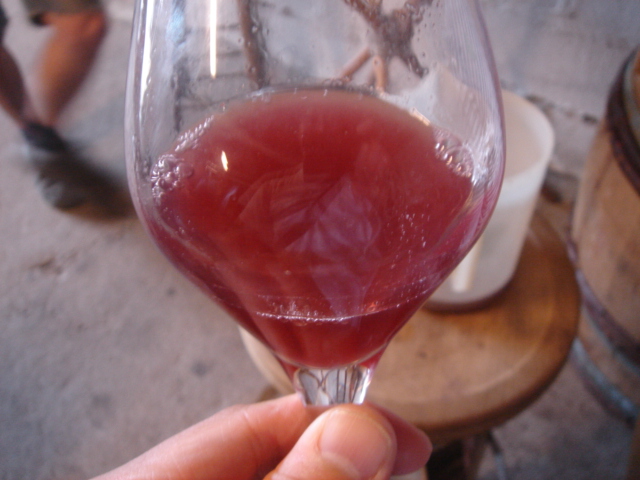 e0151566_885252.jpg