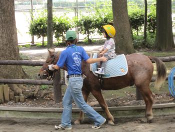 ＊動物園大好き！！！＊_b0006770_23325338.jpg