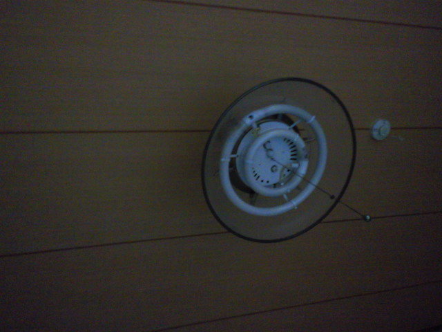 c0001670_20224965.jpg