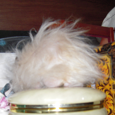 c0160473_149375.jpg