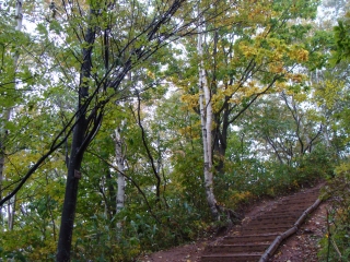 秋の北海道②（藻岩山　札幌市）_d0182075_2137421.jpg