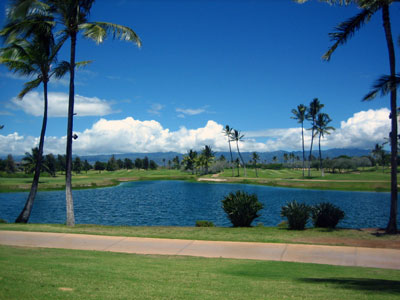 e0134878_1856213.jpg