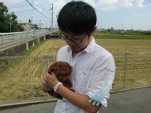 トイプードル_f0172281_6223693.jpg