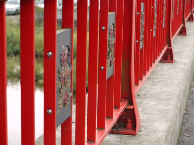 巾着田の曼珠沙華とコスモス_b0175688_21481572.jpg