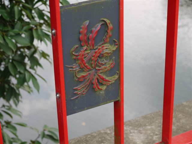 巾着田の曼珠沙華とコスモス_b0175688_21512522.jpg