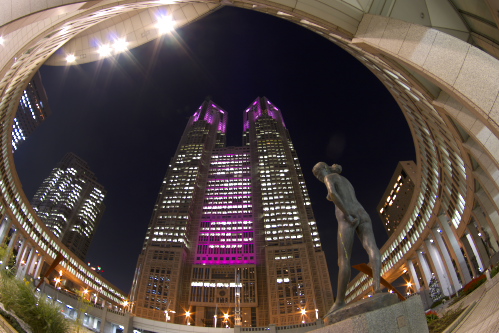 ピンクライトアップ 都庁前広場より 風景 夜景フォト