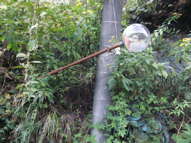 c0108198_17552670.jpg