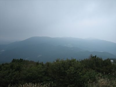 f0036700_1632278.jpg